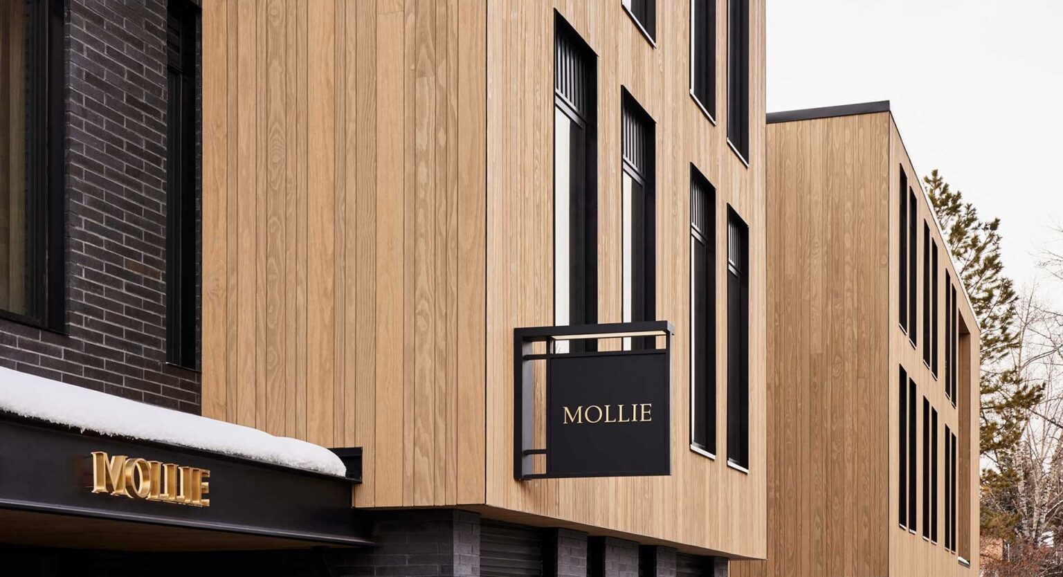 The Unforgettable Design Of MOLLIE | Aspen Luxury Hotel