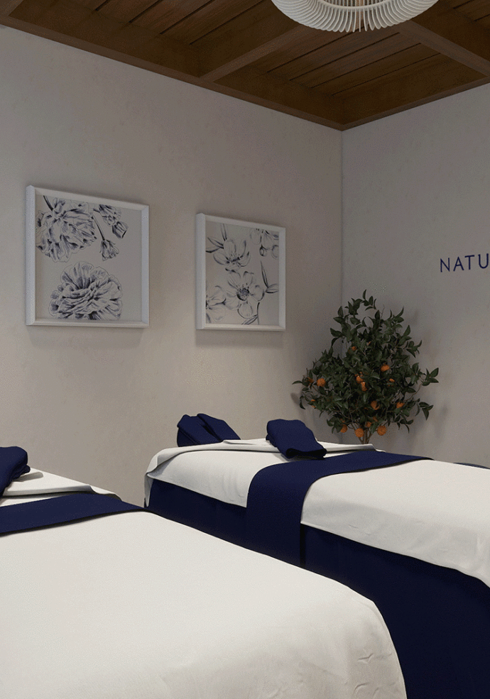 NATUROPATHICA Spa Suite Rendering