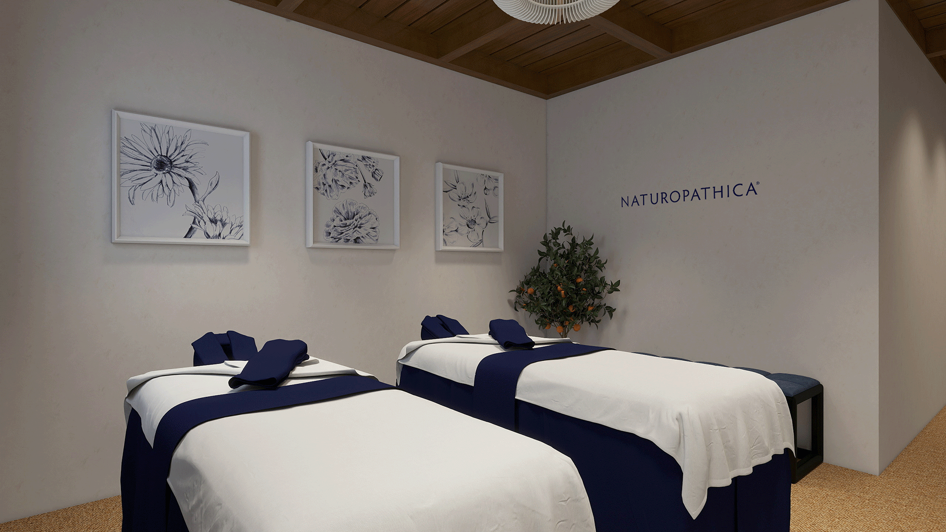 NATUROPATHICA Spa Suite Rendering