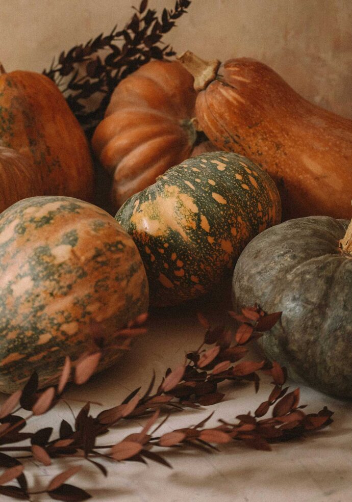 Thanksgiving gourds