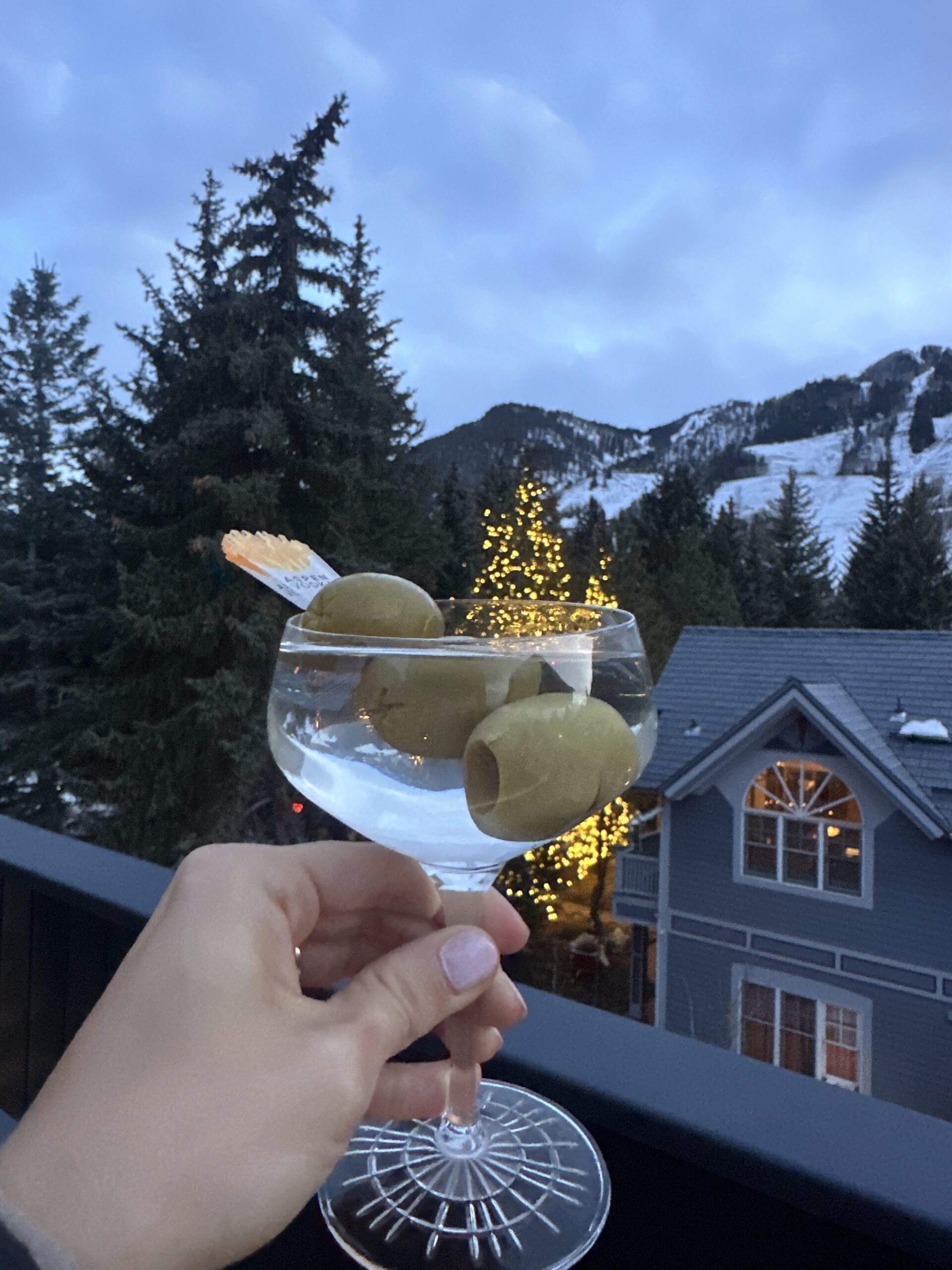 Martini & Frites Apres at MOLLIE Roof Terrace