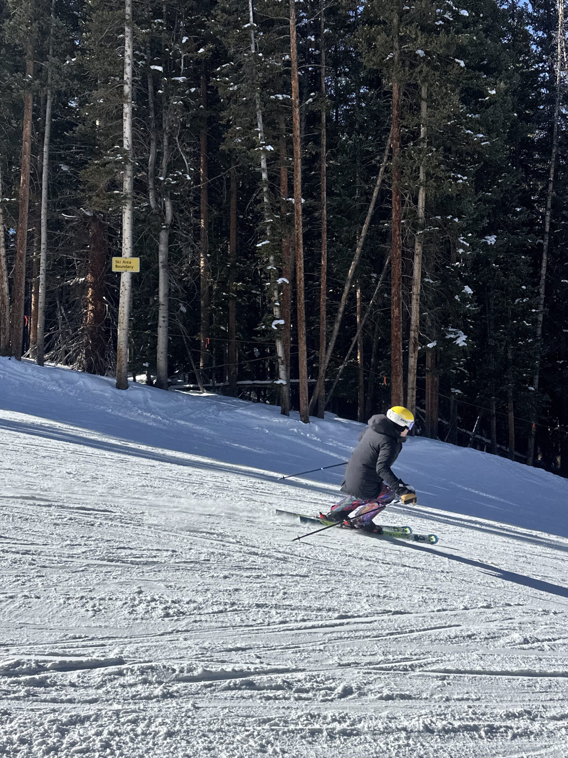 Skier carving on Ajax Mountain