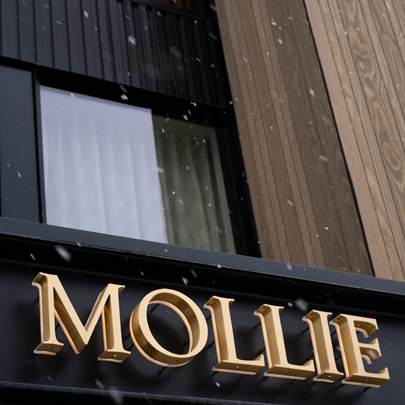 Photo taken outside of MOLLIE Aspen during snowfall