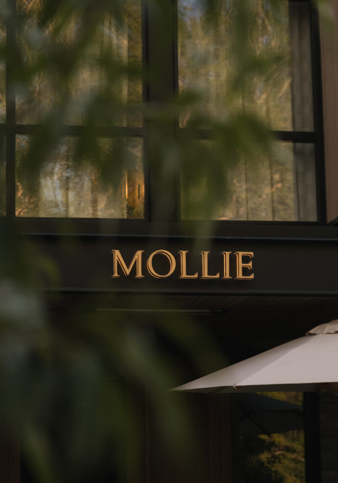Exterior shot of MOLLIE Aspen, zoomed in on the MOLLIE entrance