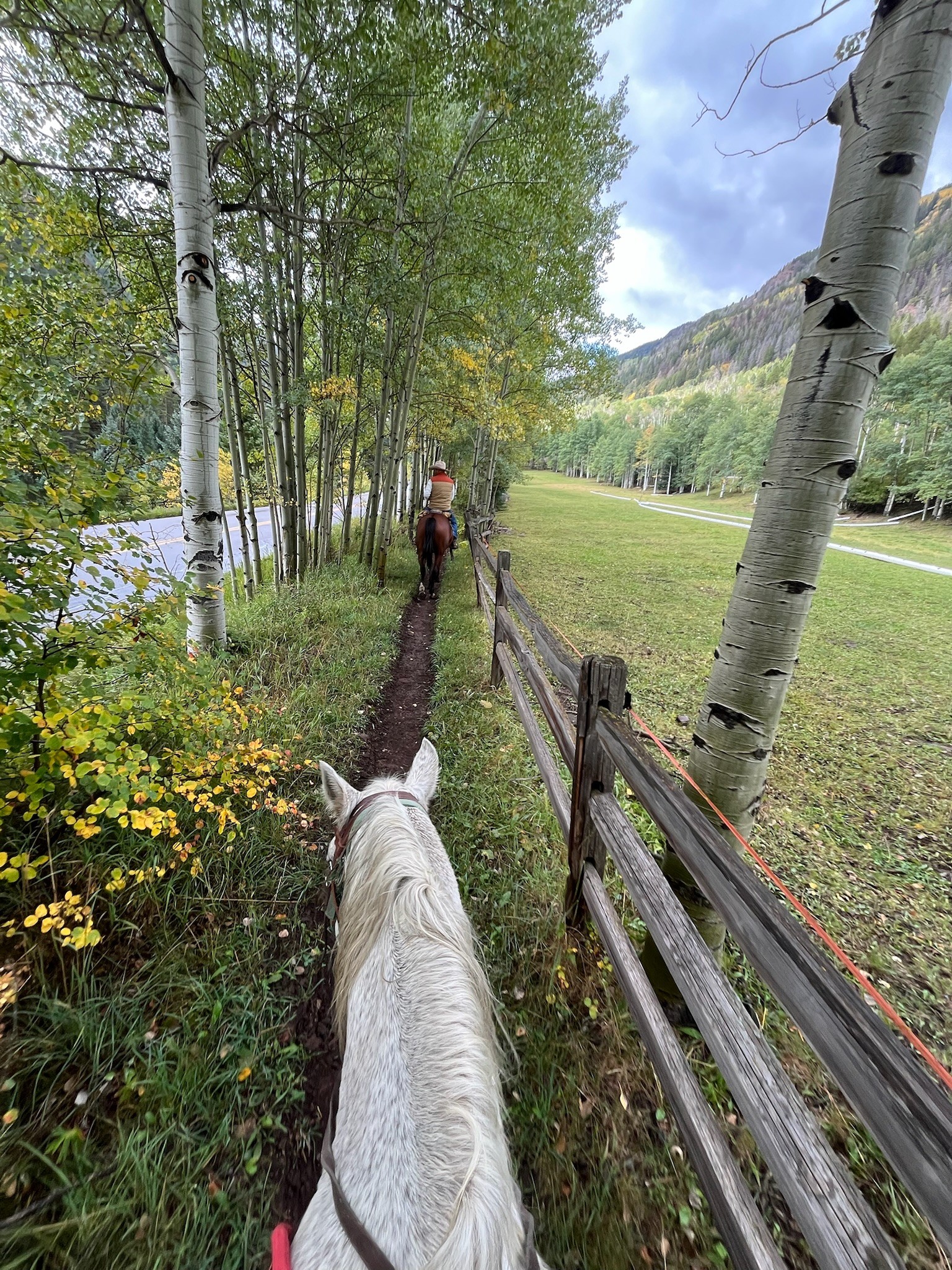 Horseback Riding with guide at T Lazy 7