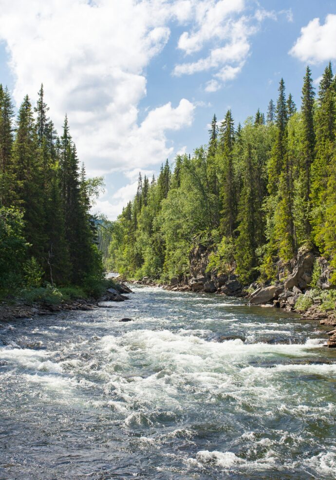 View of a river for white water rafting