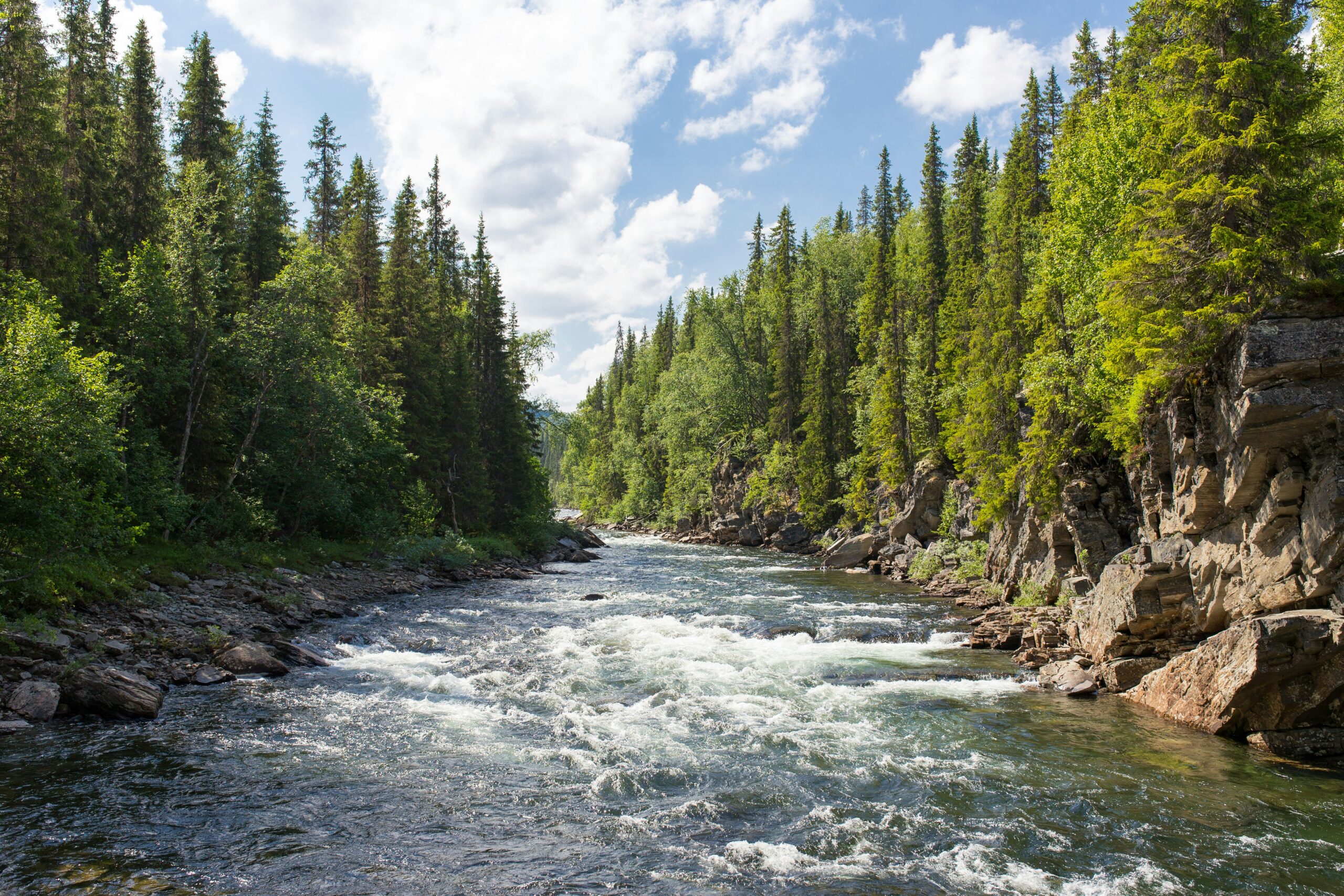 View of a river for white water rafting