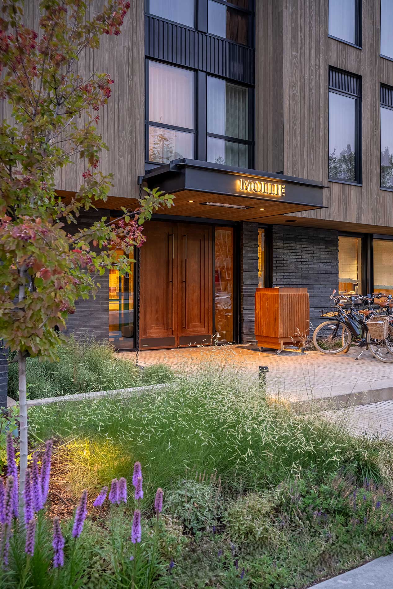 Exterior shot of MOLLIE Aspen in the summer