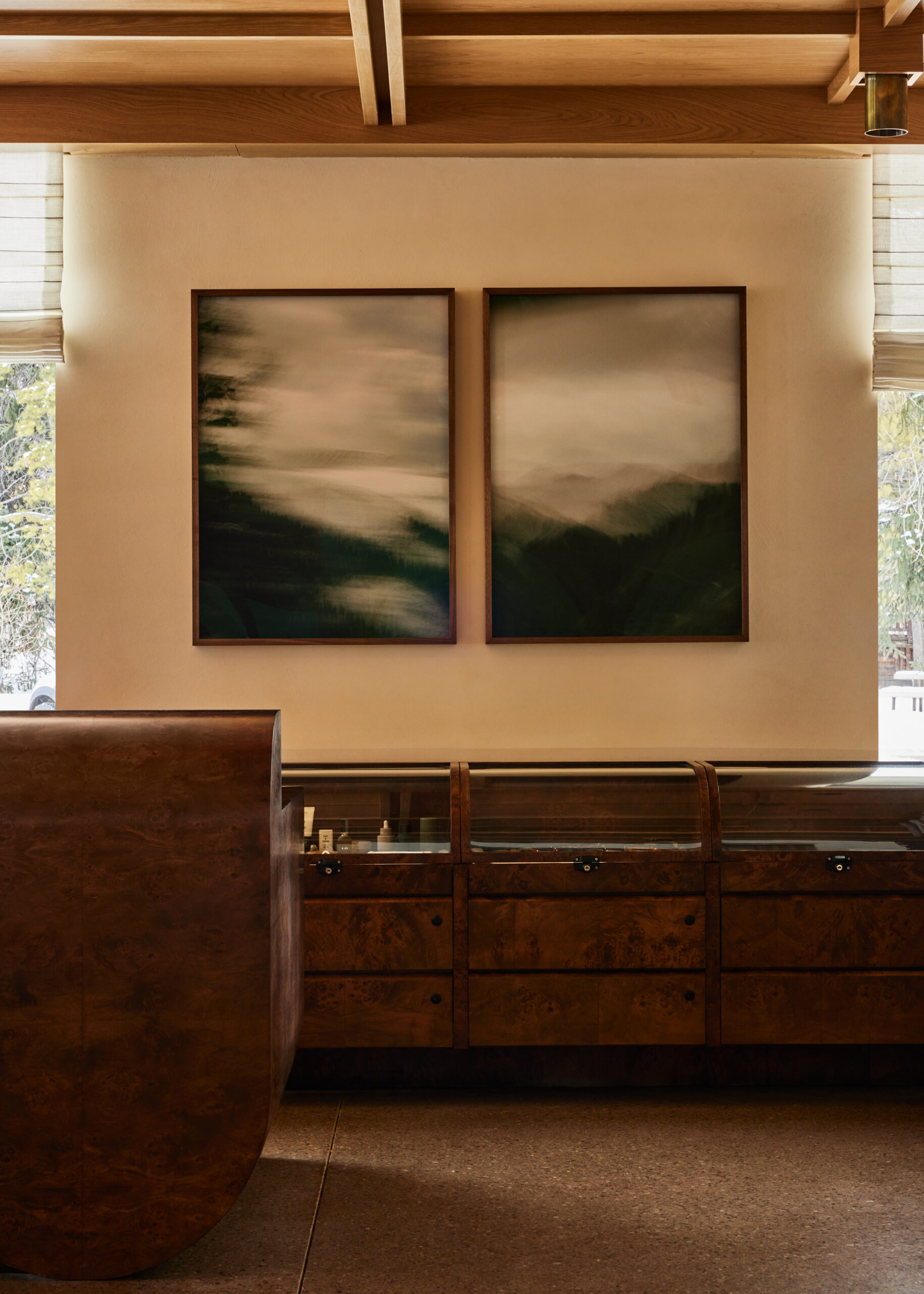 Art by MATTHEW JOHNSON in MOLLIE Aspen