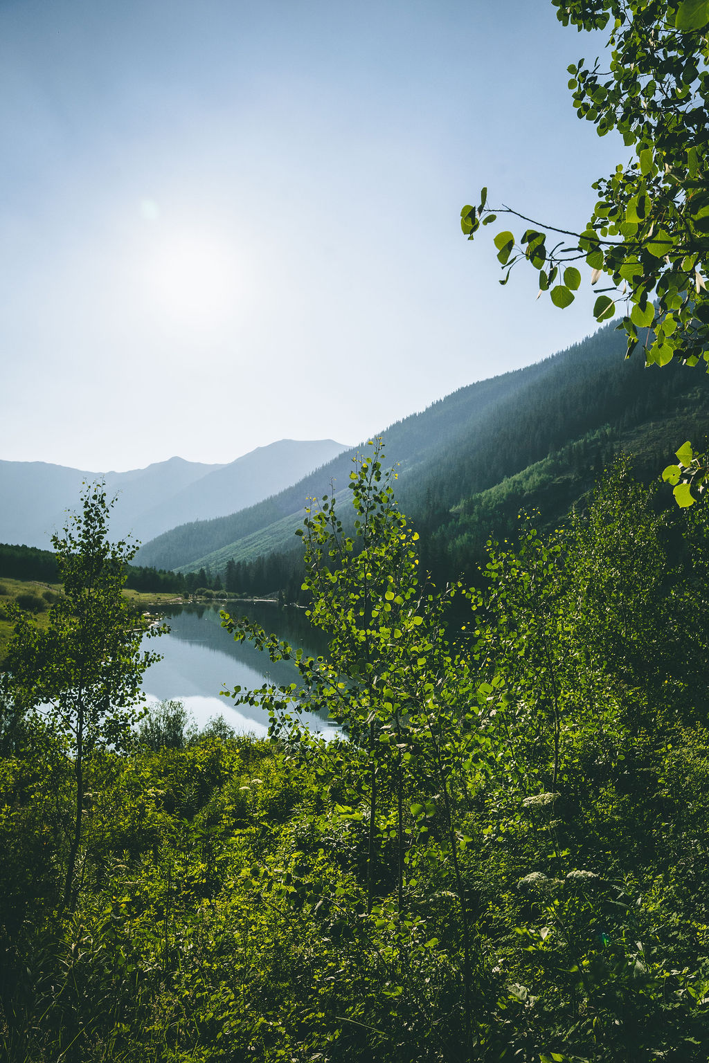Views of Aspen in the summer