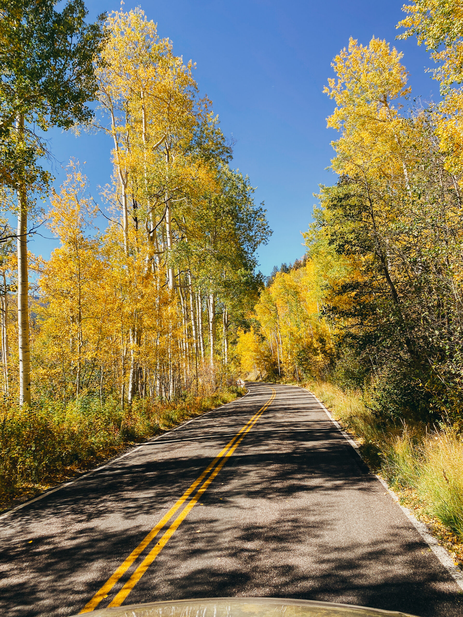 Driving through Aspen in fall 