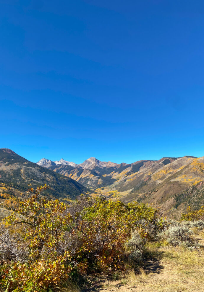 Fall in Aspen