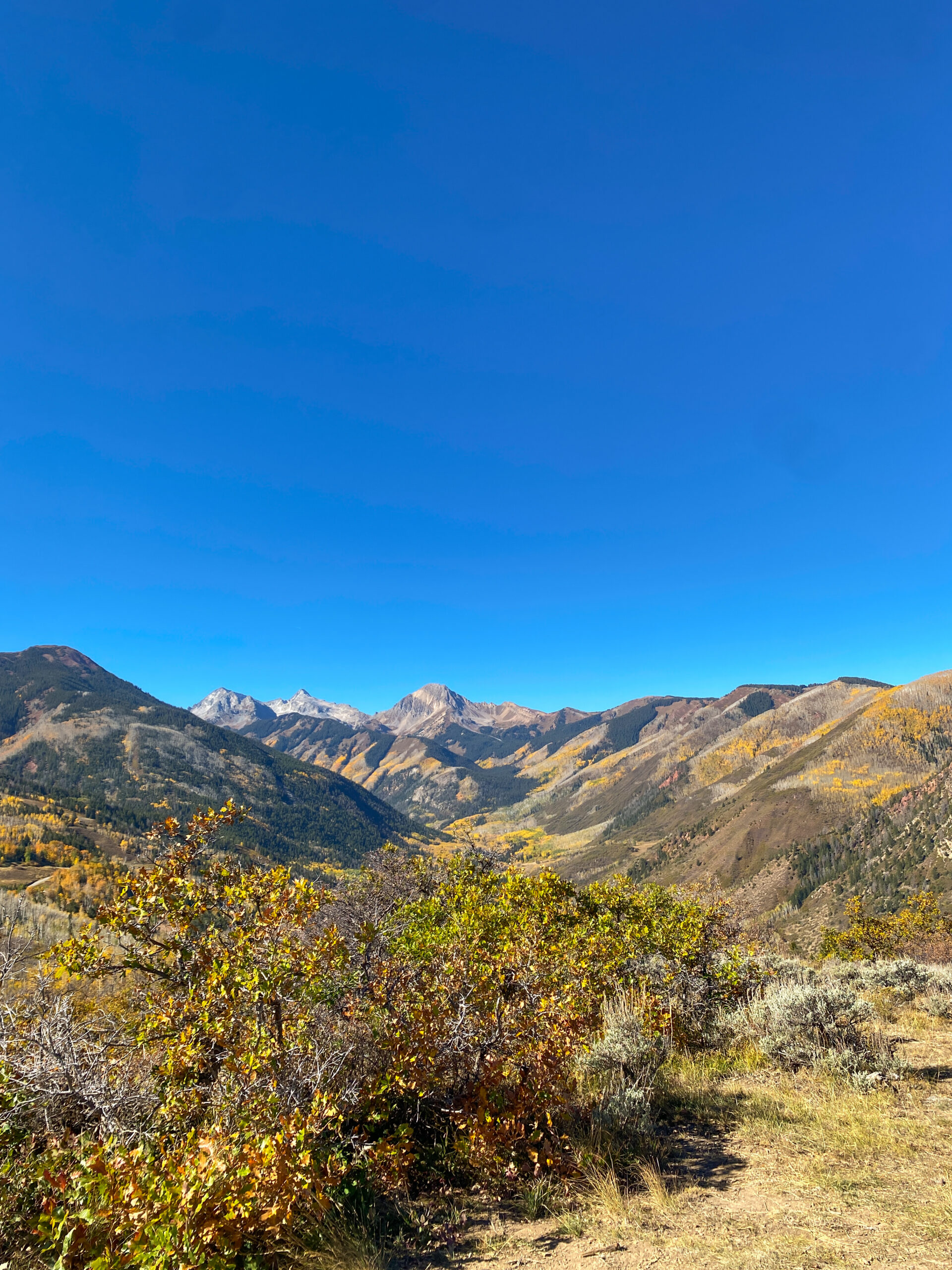 Fall in Aspen