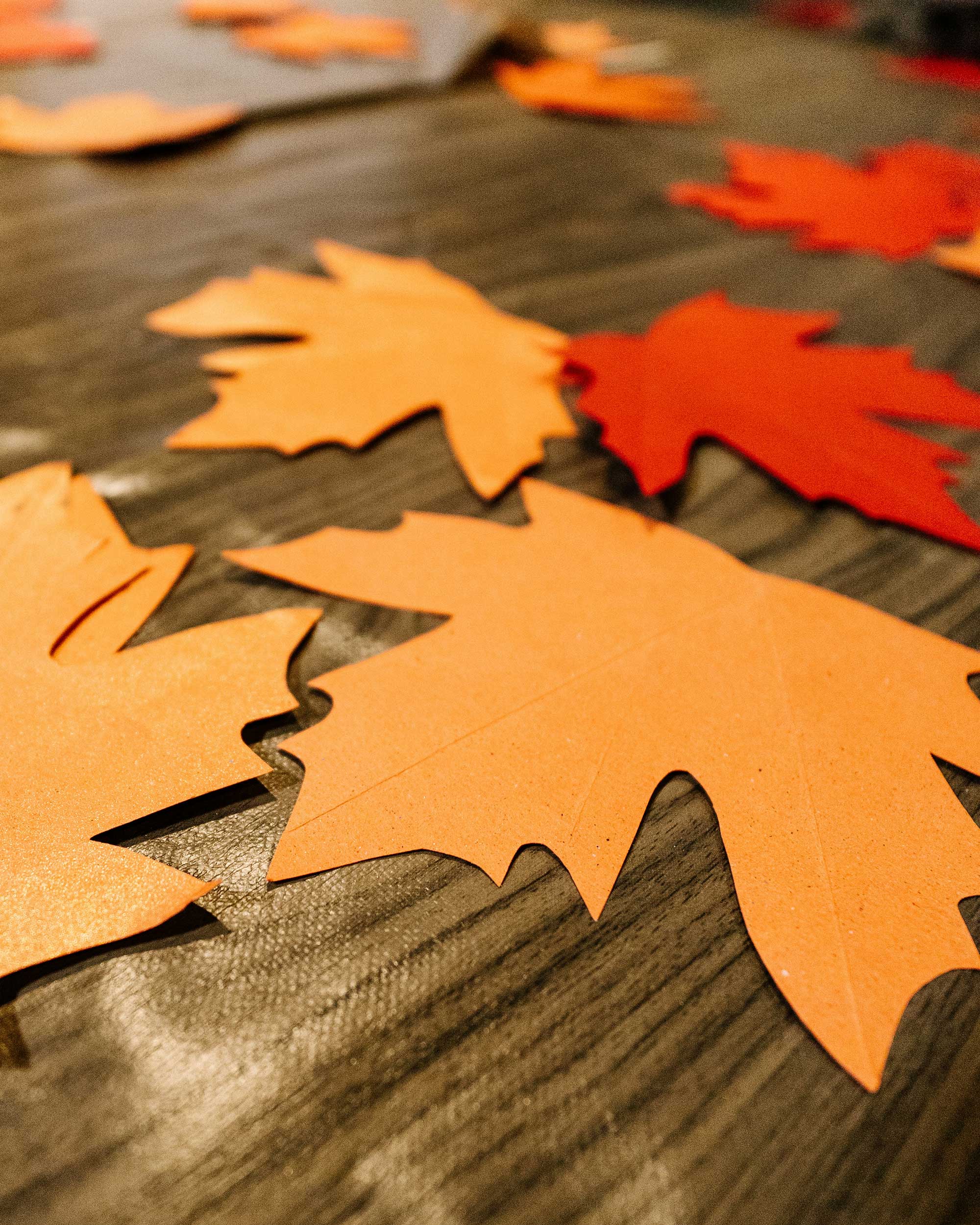 Thanksgiving kids' crafting at MOLLIE
