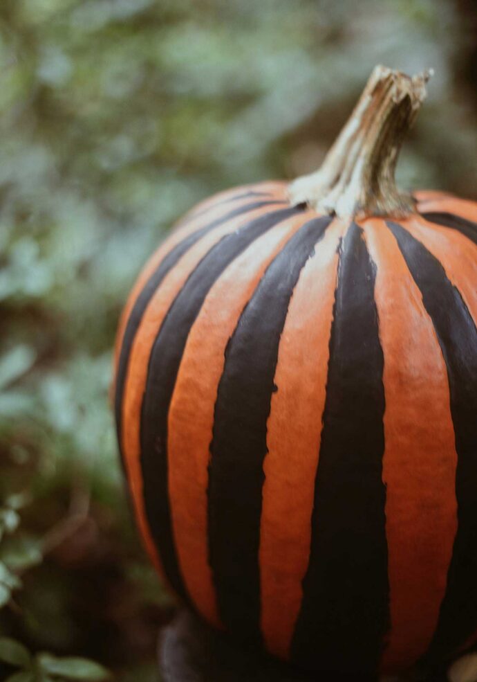 Festive autumn pumpkin painting at Petit Trois Aspen at MOLLIE