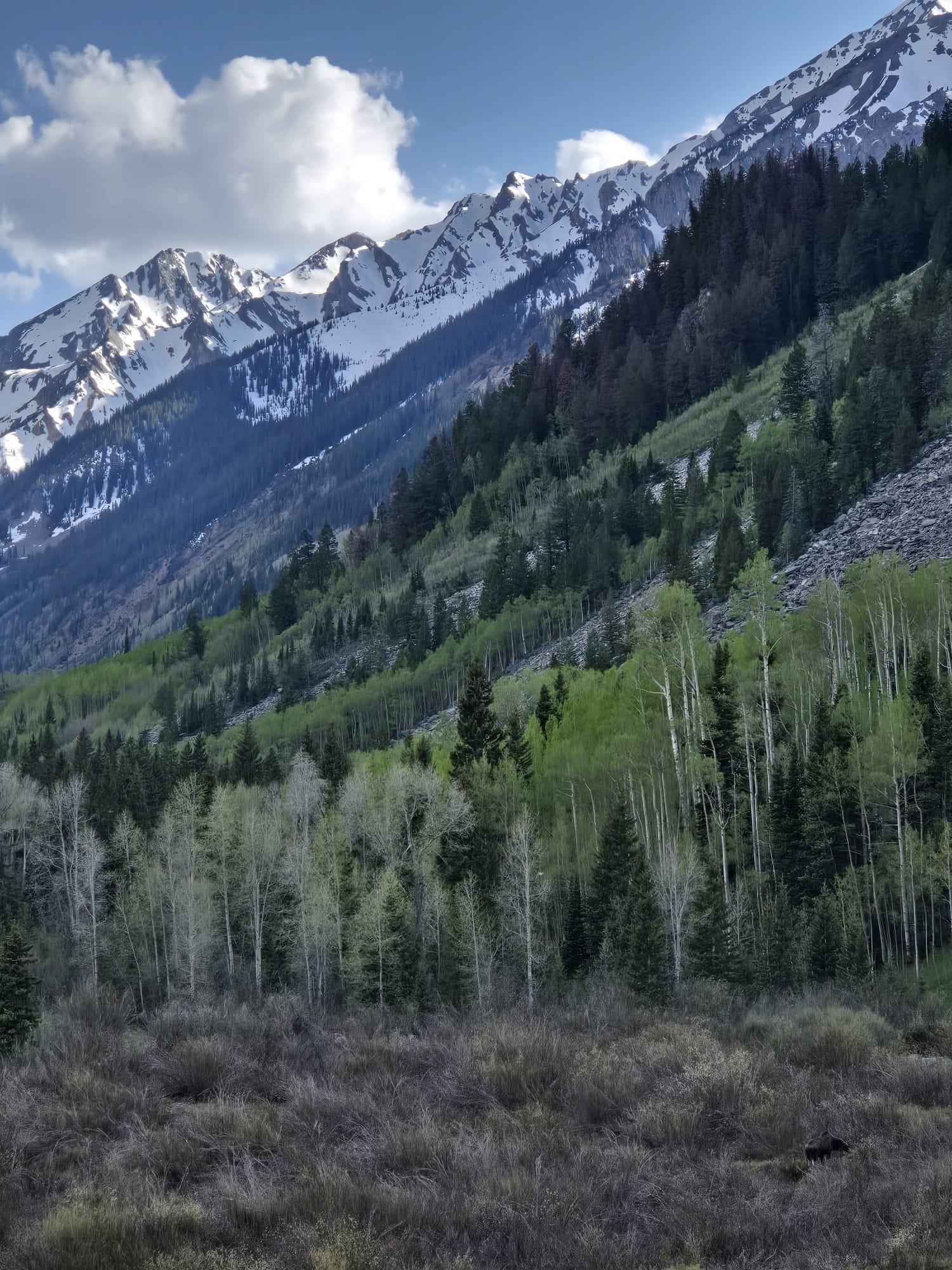 Conundrum Hot Springs in Aspen, CO 