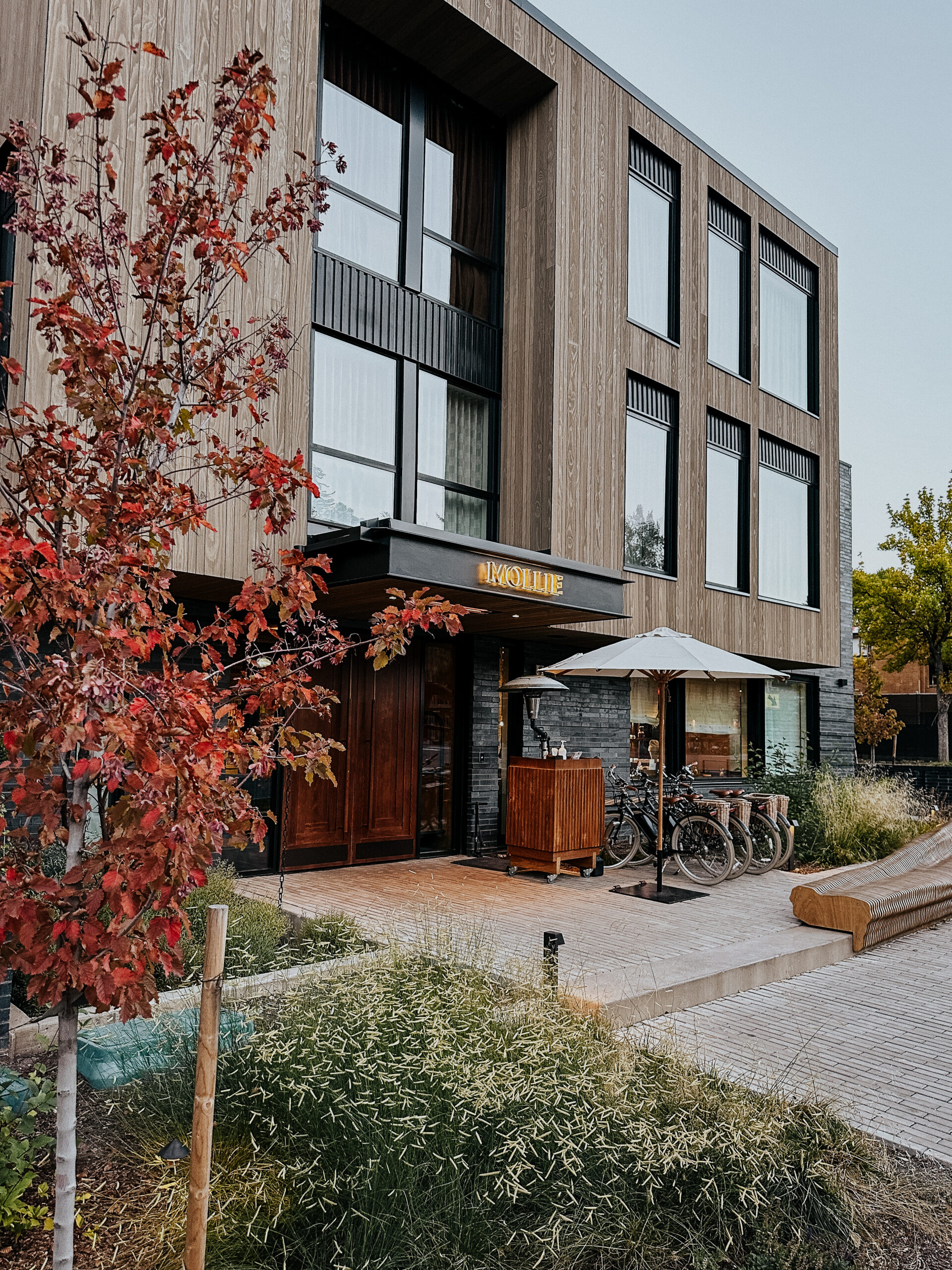 Fall Exterior - MOLLIE Aspen