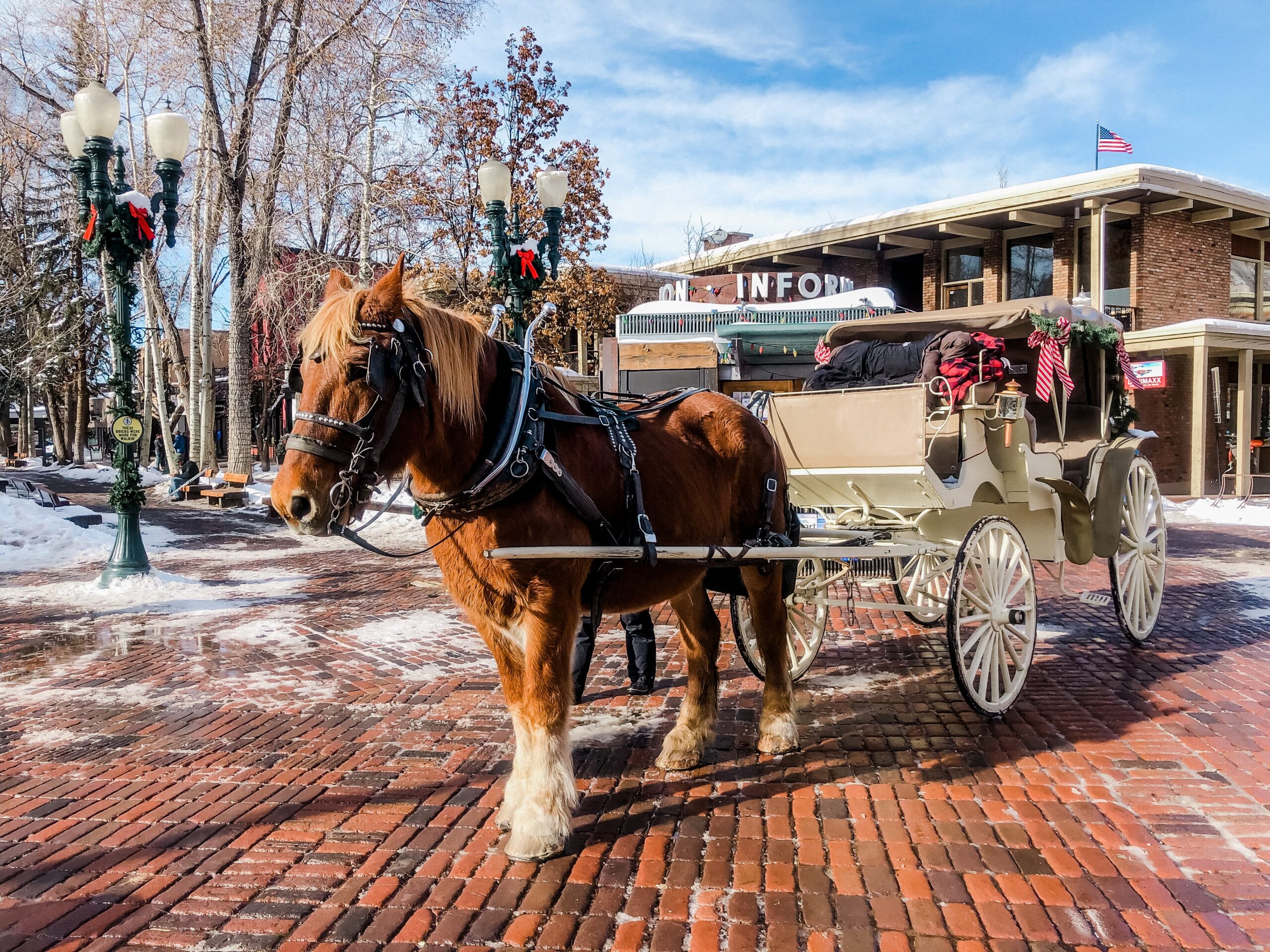 Horse drawn carriage in Aspen, CO